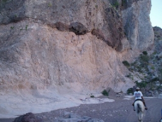  Caminhadas de cavalos 